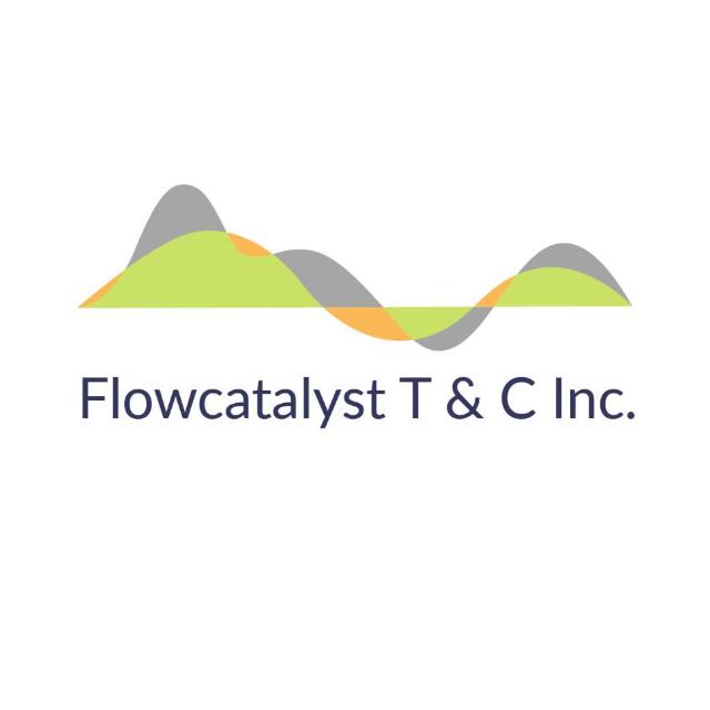 Flowcatalyst Technology and Consulting logo